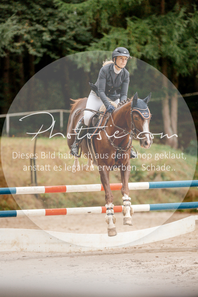 3I6A5809 | Stimmungsvolle Portraits und Reitsportfotografie im Ruhrgebiet und im Münsterland.

Pferdefotografie, Hundefotografie, Tierfotografie, Reportagen, Portraits von Tier und Mensch, Turnierfotografie in Bochum, Recklinghausen, Marl, Haltern am See, Dülmen.. - Realisiert mit Pictrs.com