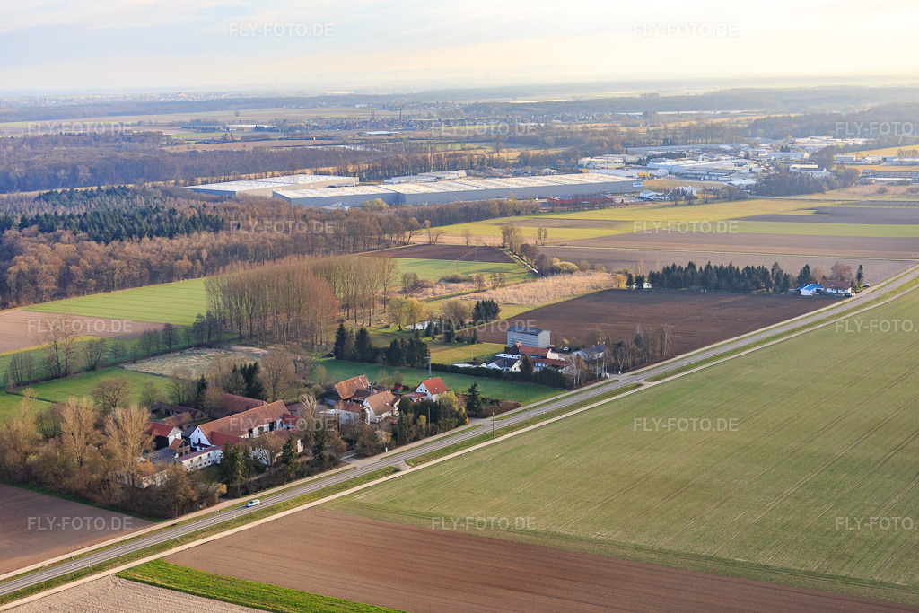 Luftbild: Ortsteil Höfen im Winter aus Südwesten im Ortsteil Minderslachen in Kandel im Bundesland Rheinland-Pfalz in Deutschland. Foto: IMG_076788.jpg vom 28.03.2015 durch Werner Riehm/FLY-FOTO.de