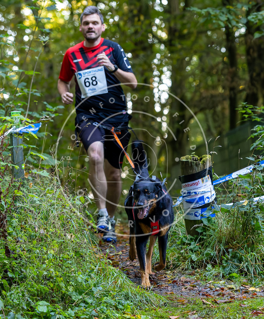 Pfotenfotografie_DV3A7290 | Hundefotografie, Tierfotograf, Pfotenfotografie, Fotoshooting Hund, Hunde Portrait, Hundesport, Hundeportraits, Heideshooting, Hunde, Sportfotograf, Hundefotograf, Turnierhundsport, THS,  - Realisiert mit Pictrs.com