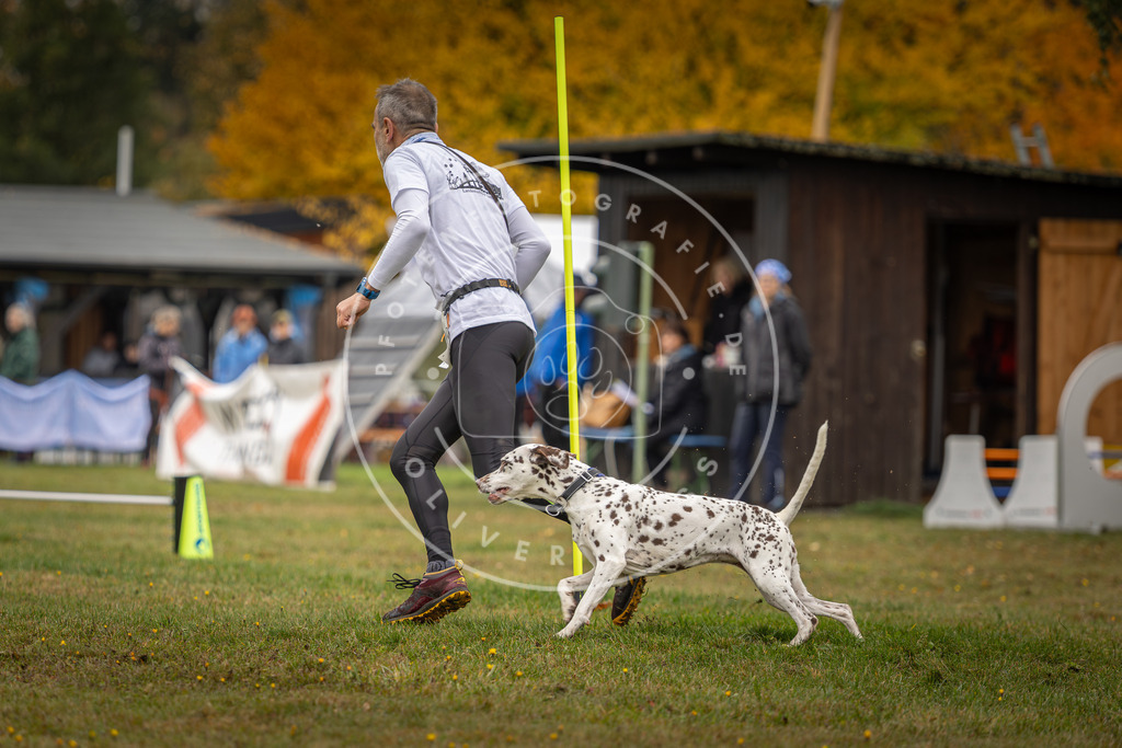 Pfotenfotografie_DV3A1840 | Hundefotografie, Tierfotograf, Pfotenfotografie, Fotoshooting Hund, Hunde Portrait, Hundesport, Hundeportraits, Heideshooting, Hunde, Sportfotograf, Hundefotograf, Turnierhundsport, THS,  - Realisiert mit Pictrs.com