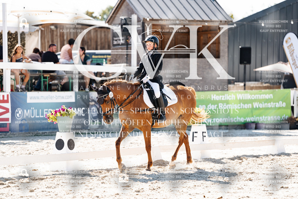 CK902997 | Turnierfotografie Pferdefotografie Trier Rheinland-Pfalz Pferdesport Reitsport Tierfotografie Sportfotografie Pferdevideo Pferdevideografie Equestrianvideography equestrianphotography  - Realisiert mit Pictrs.com