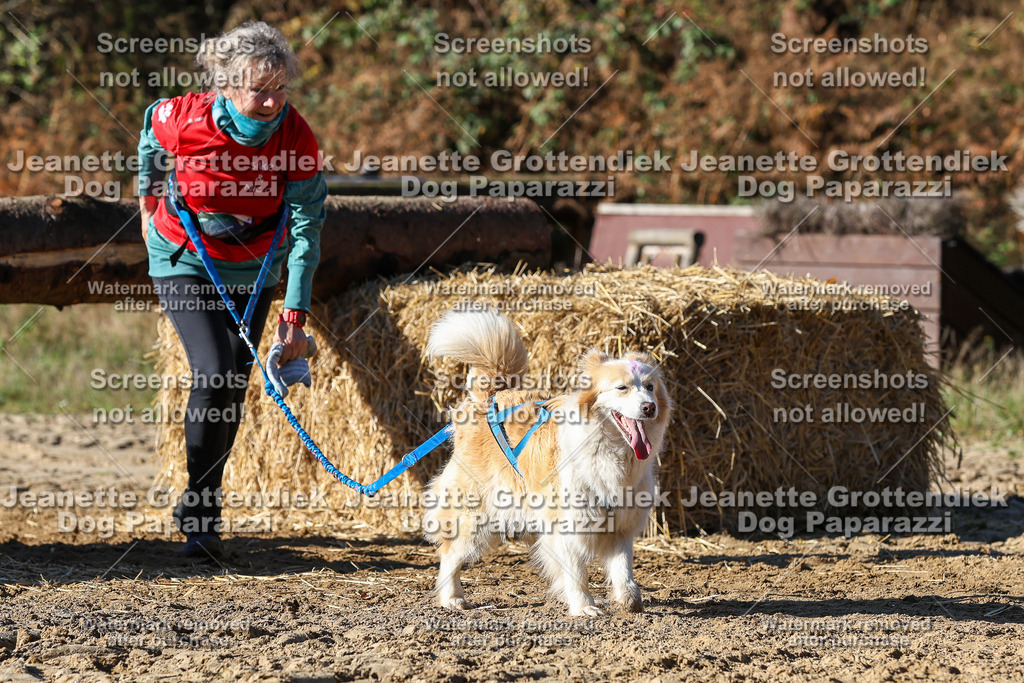 Dog Paparazzi - Strongdog 10-25-2528 | Dog Paparazzi Jeanette Grottendiek Fotografie & Videografie - Realisiert mit Pictrs.com