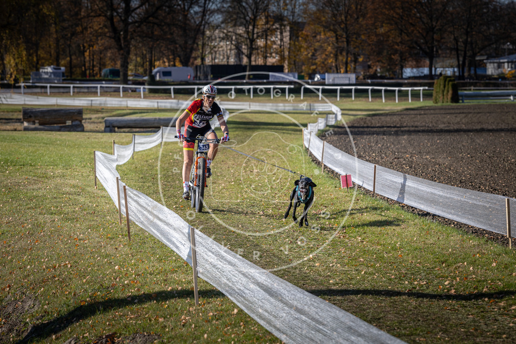 CaniXpix_DV3A7459 | Hundefotografie, Tierfotograf, Pfotenfotografie, Fotoshooting Hund, Hunde Portrait, Hundesport, Hundeportraits, Heideshooting, Hunde, Sportfotograf, Hundefotograf, Turnierhundsport, THS,  - Realisiert mit Pictrs.com