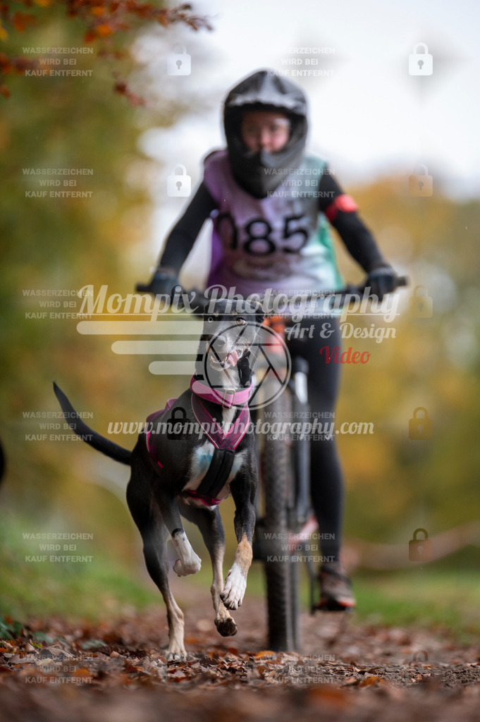 DBT_DAKM_SA_4_11_2023_Bike-103 | PayLife