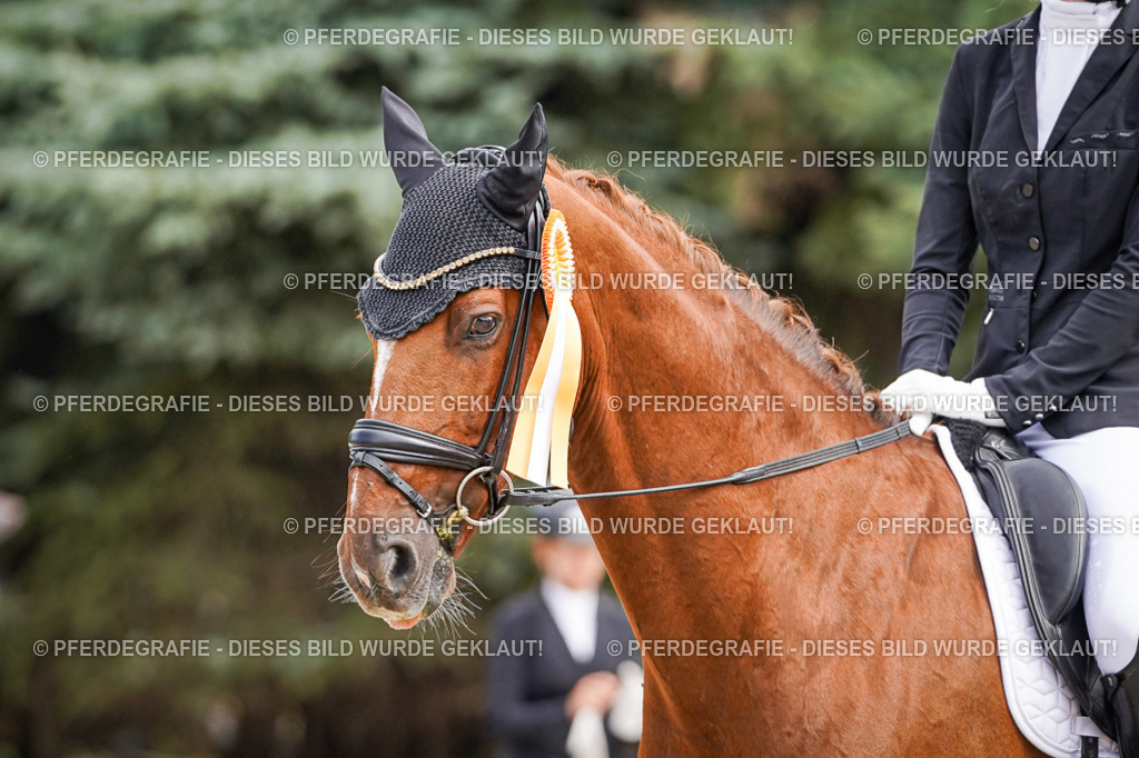 DSC02335 | Pferdegrafie