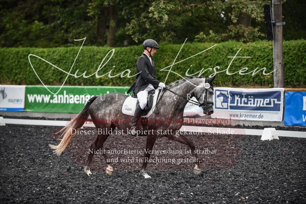 DSC_4610 | Pferde- und Turnierfotografie in Westsachsen. Pferdeportraits, Auftragszeichnungen und intuitive Kunst.