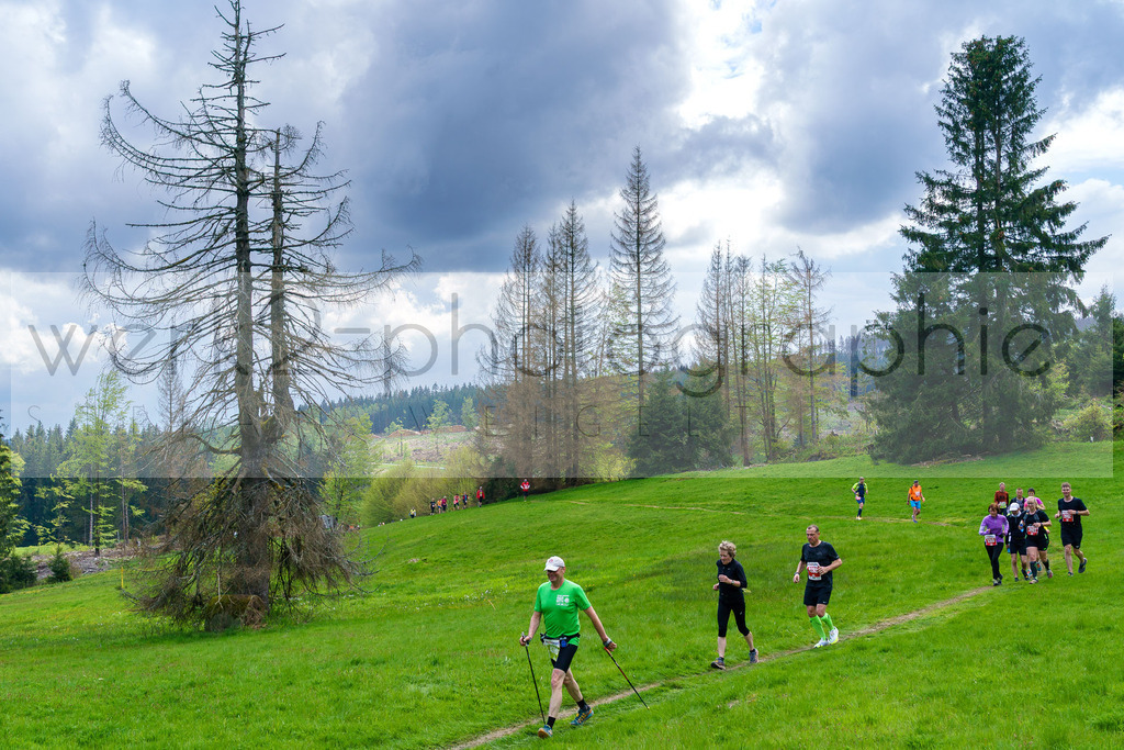 Rennsteiglauf 2023 | Rennsteiglauf 2023 am 12. Mai 2023 - Marathon-Strecke Neuhaus/Rwg. - Schmiedefeld