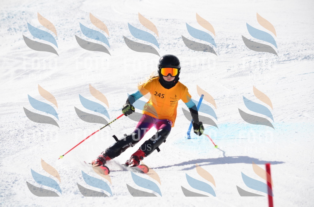 C8411 | holidayphoto