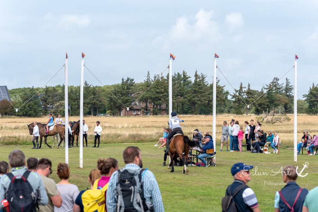 EAF_7525 | Eilun-Art-Fotografie Levke Martens, ihre Fotografin für Immobilien- und Landschaftsfotografie auf Föhr, Föhrer Motive als Poster, Leinwand, hinter Acrylglas oder stelle dir deinen eigenen Monatskalender zusammen, mit nur einem Klick