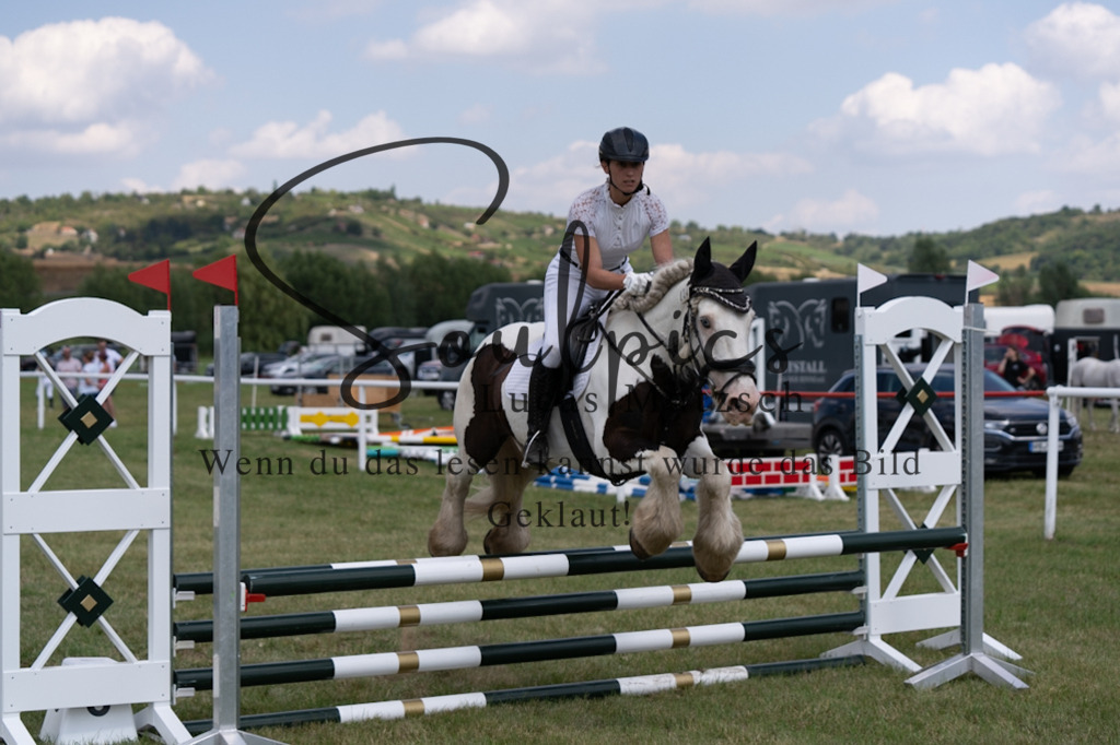 A7V00295 | Pferdefotograf