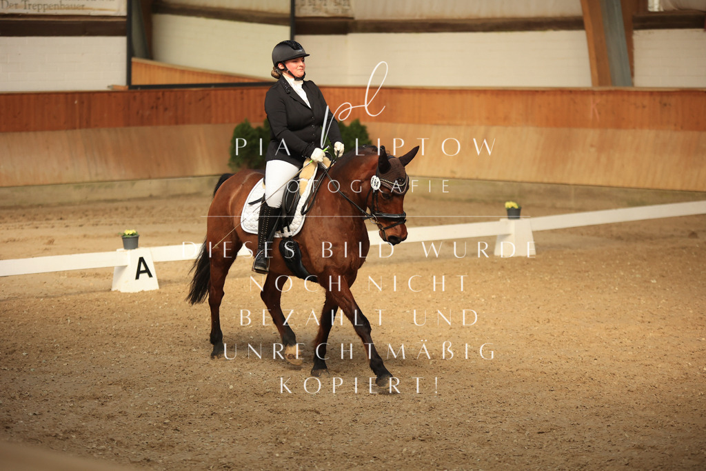 IMGT4414 | pl-fotografie