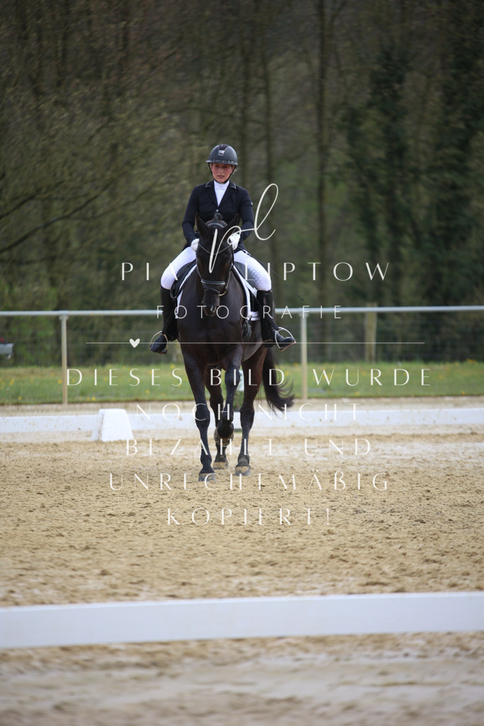 IMGT6219 | pl-fotografie