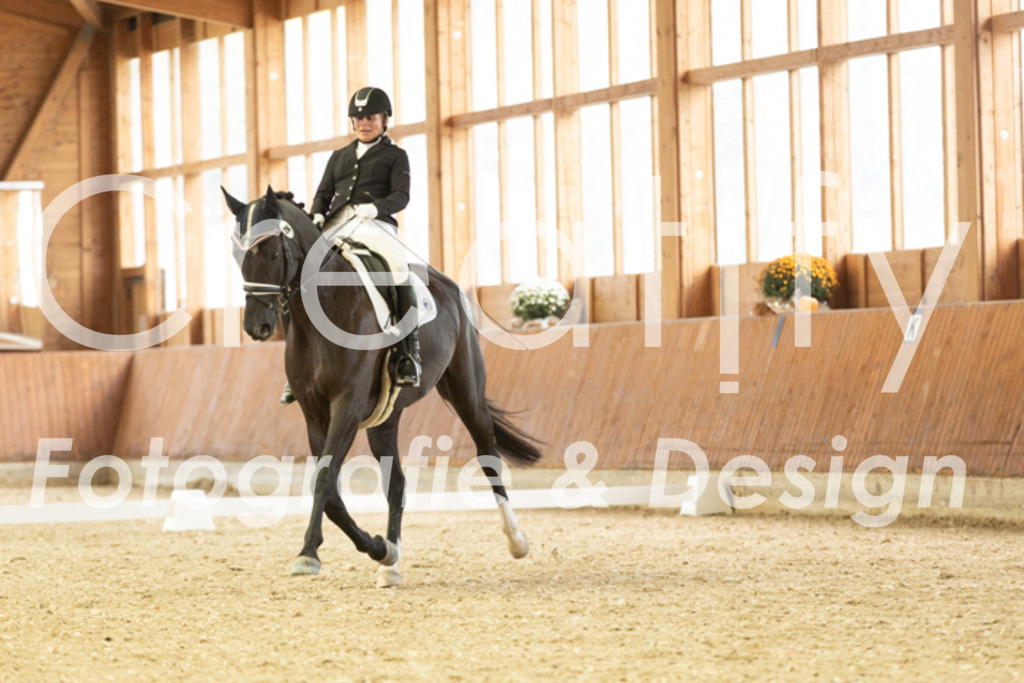 IMG_1661 | Creatify Fotografie