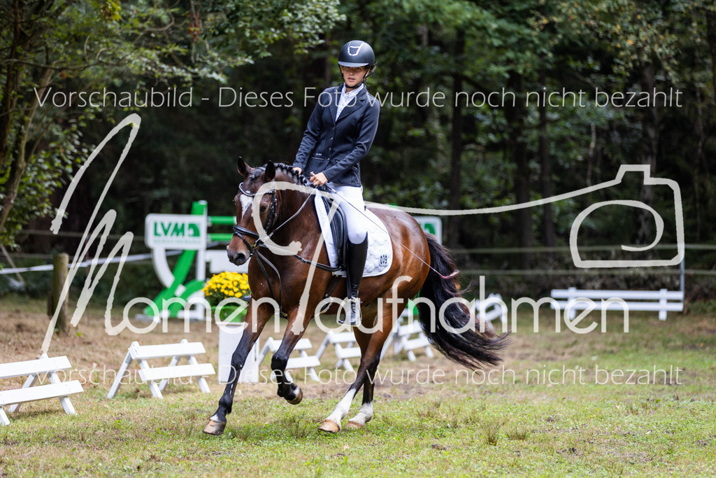 HB-Dressur-WB-015 | MomenTaufnahmen Pferdesportfotos