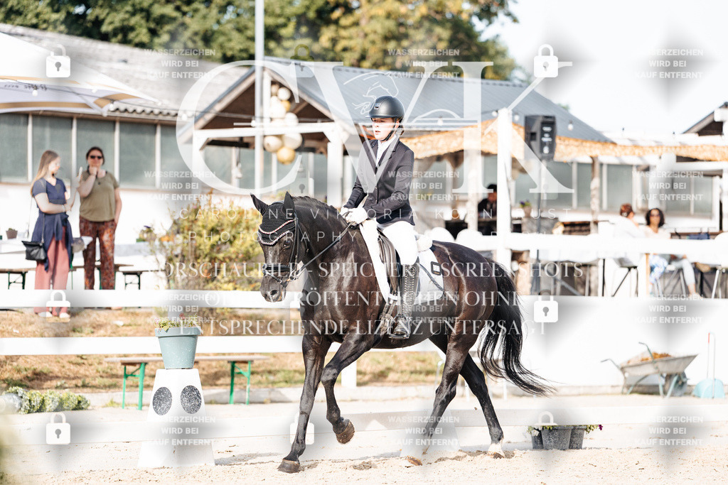 CK905072 | Turnierfotografie Pferdefotografie Trier Rheinland-Pfalz Pferdesport Reitsport Tierfotografie Sportfotografie Pferdevideo Pferdevideografie Equestrianvideography equestrianphotography  - Realisiert mit Pictrs.com