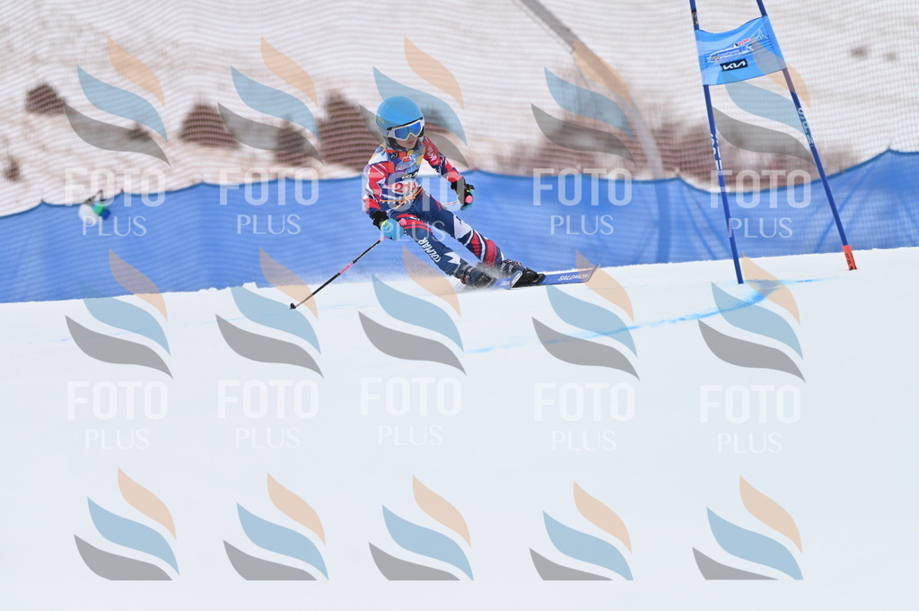 BGV_2909 | holidayphoto