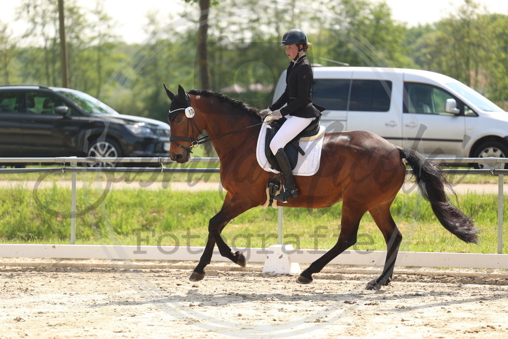 994A7148 | sabrinanicolaifotografie - Realisiert mit Pictrs.com