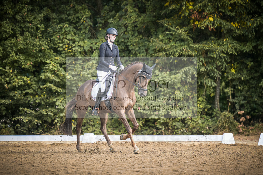 DOS_0270 | Entdecke hochwertige Reitturnierfotos von Foto Oger. Professionell, emotional und authentisch – jetzt Lieblingsmomente im Shop bestellen.Deutschlandweite Turnierfotografie. - Realisiert mit Pictrs.com