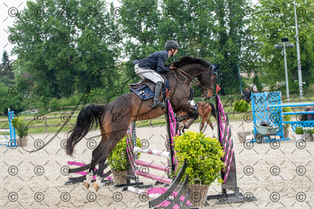 KPT_2311 | andre_photographic