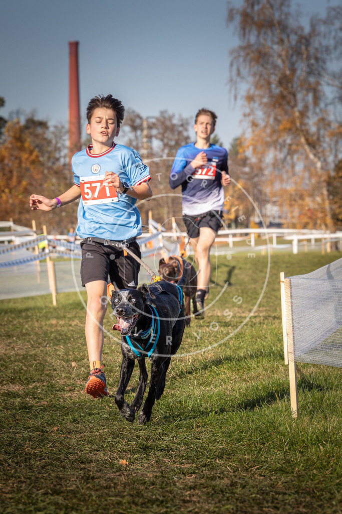 CaniXpix_0L8A8060 | Hundefotografie, Tierfotograf, Pfotenfotografie, Fotoshooting Hund, Hunde Portrait, Hundesport, Hundeportraits, Heideshooting, Hunde, Sportfotograf, Hundefotograf, Turnierhundsport, THS,  - Realisiert mit Pictrs.com