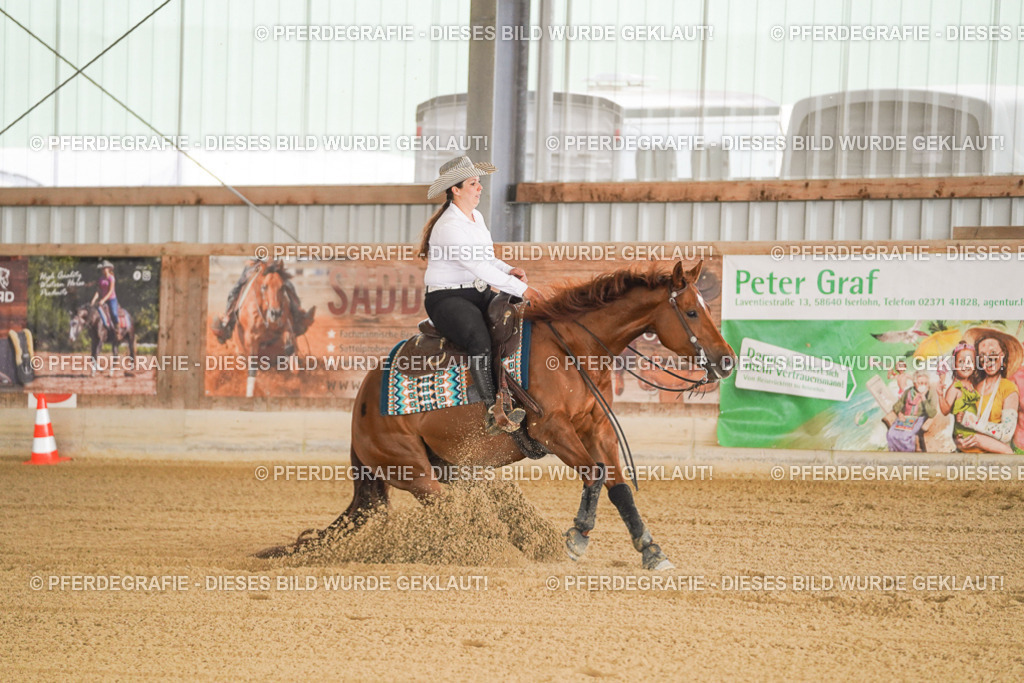 DSC00397 | Pferdegrafie