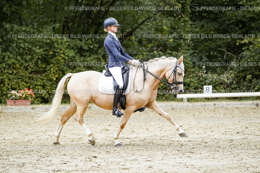 DSC07506 | Pferdegrafie