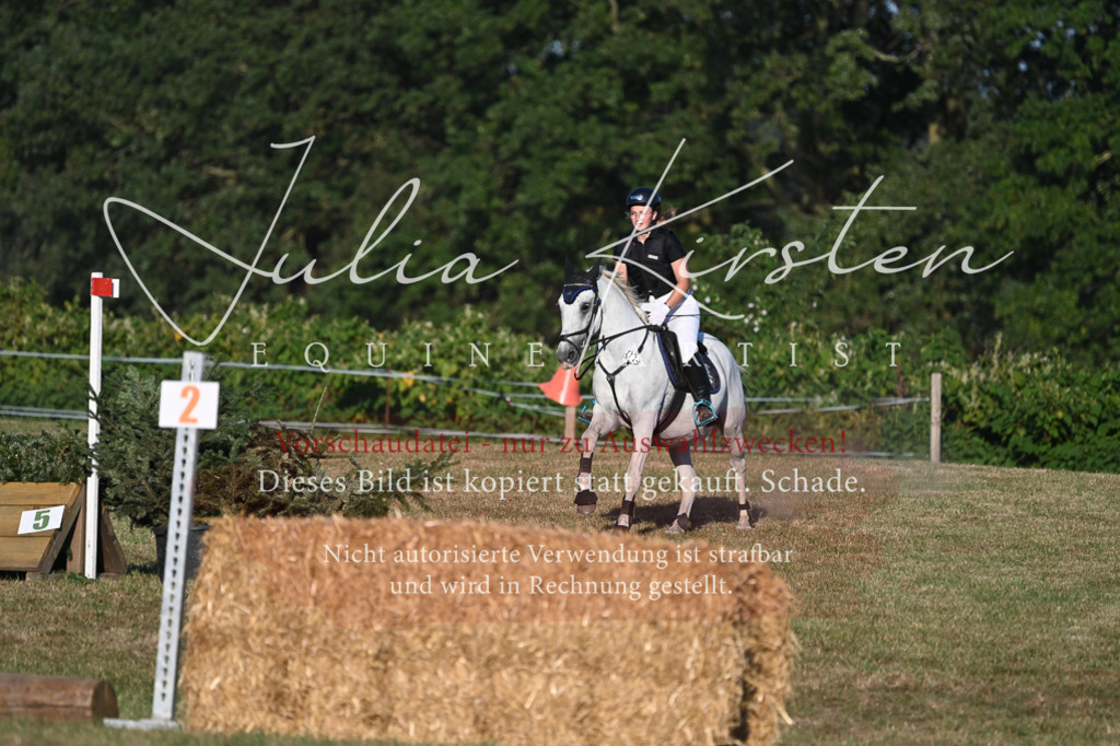 DSC_9202 | Pferde- und Turnierfotografie in Westsachsen. Pferdeportraits, Auftragszeichnungen und intuitive Kunst.