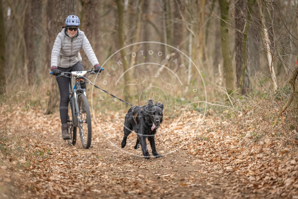 Pfotenfotografie_DV3A0217 | Hundefotografie, Tierfotograf, Pfotenfotografie, Fotoshooting Hund, Hunde Portrait, Hundesport, Hundeportraits, Heideshooting, Hunde, Sportfotograf, Hundefotograf, Turnierhundsport, THS,  - Realisiert mit Pictrs.com