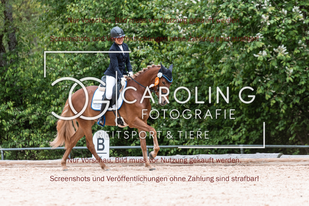 DSC_7130 | Turnierfotografin Carolin Gieschke,Reitsport Turnierfotografie Carolin G Fotografie | Turnierfotos aus Kirchheim/Teck, Esslingen, Stuttgart und dem Bodenseekreis