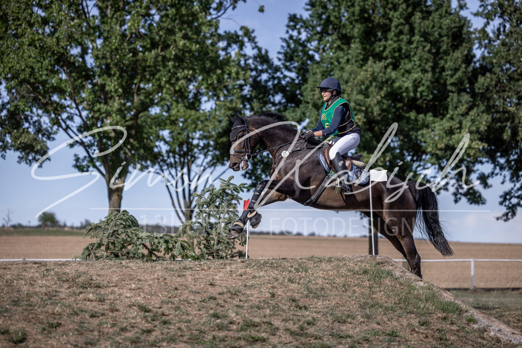 20260906-_3LI6349 | Tierfotografie Pferde, Hunde, Katzen, Haustiere.
Turnierfotografie Reitturniere, Reiten, Springreiten, Dressur in Hanau, dem Main-Kinzig-Kreis und dem Rhein-Main- Gebiet um Frankfurt