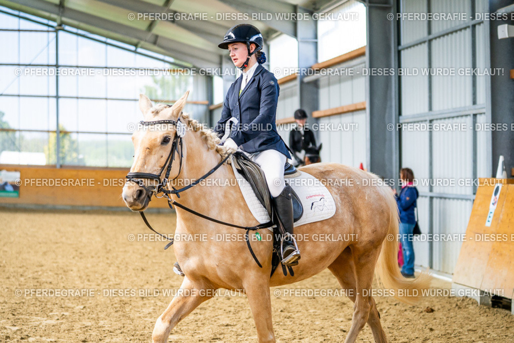 DSC03874 | Pferdegrafie