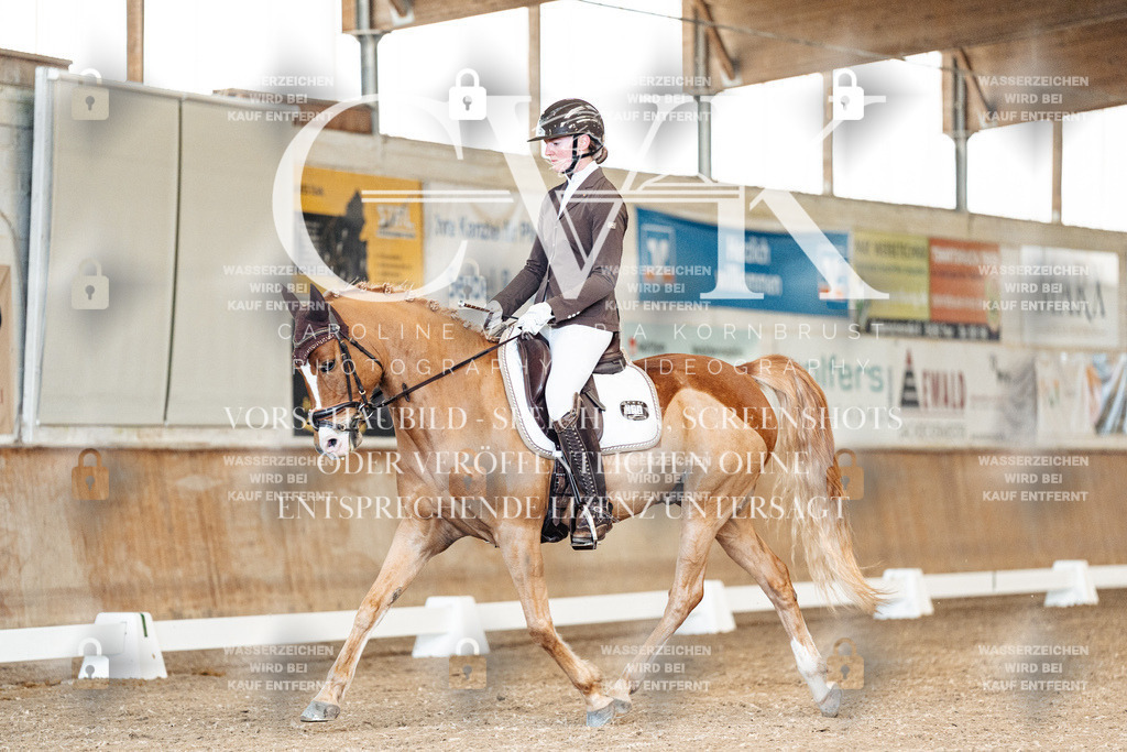 CK900766 | Turnierfotografie Pferdefotografie Trier Rheinland-Pfalz Pferdesport Reitsport Tierfotografie Sportfotografie Pferdevideo Pferdevideografie Equestrianvideography equestrianphotography  - Realisiert mit Pictrs.com