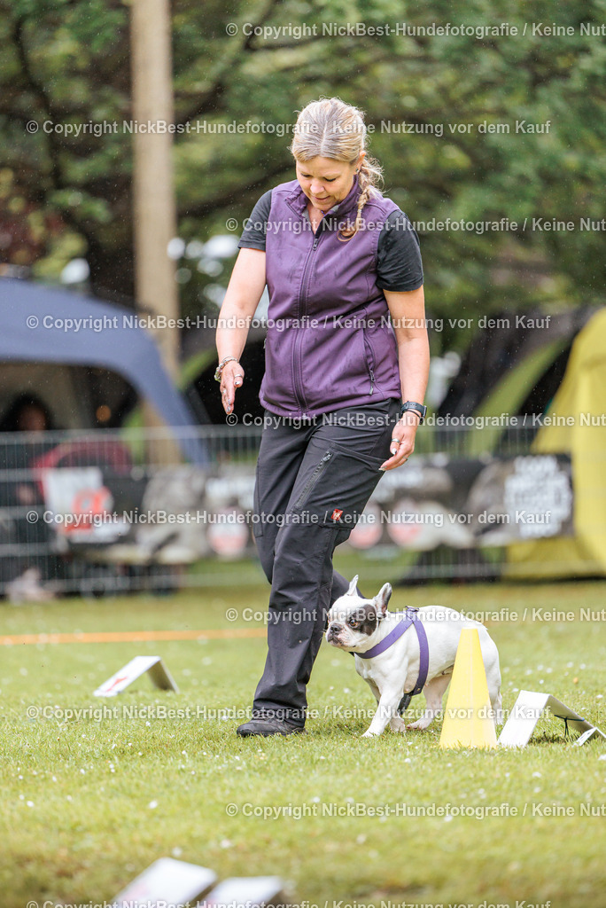 RO-Blumenthal-2026-Nickbest-Hundefotografie-0056 | Dein Hund! Dein Moment! Deine Erinnerungen! Hundefotografie in Bremen Blumenthal. Ich fange die besonderen Momente deines Vierbeiners ein – ob Indoor mit Blitzanlage oder in der freien Natur. Sicher dir dein Moment und dein Termin für eure Erinnerungen.