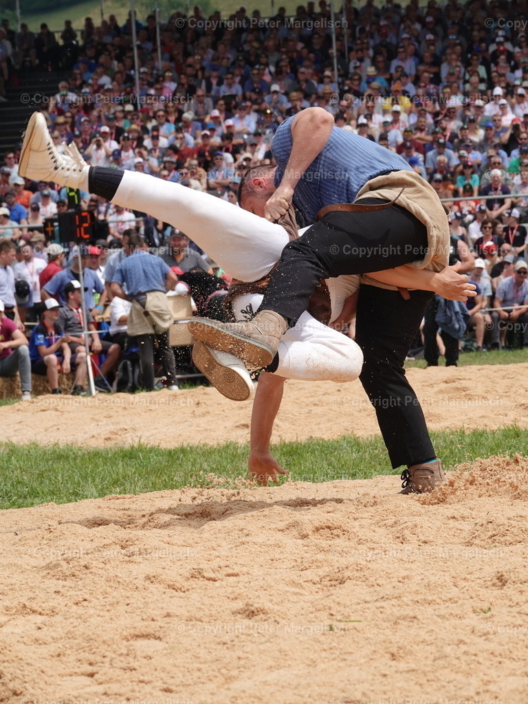 DSC04965 | Schwingen - Realisiert mit Pictrs.com