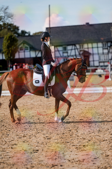 2026_10_03_Siefer-Hof_132841_Z63_89711270 | Professionelle Reitsport-, Turnier- und Eventfotografie von Robert Broda. Galerien mit ausgewählten und bearbeiteten Bildern direkt online ansehen und bestellen.