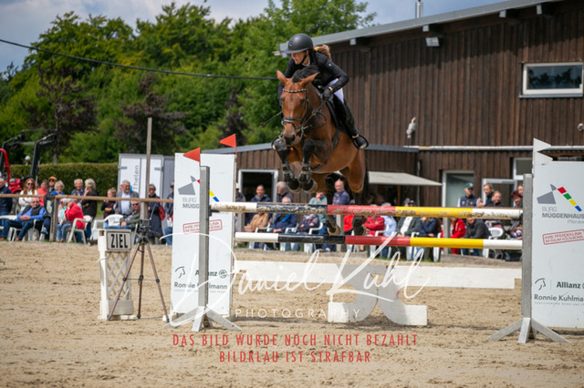 IMG_5715 | Turniersportfotografie; Pferdefotografie; Dressurfotografie