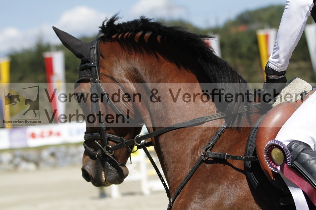 _MG_5277 | equestrian-live-com