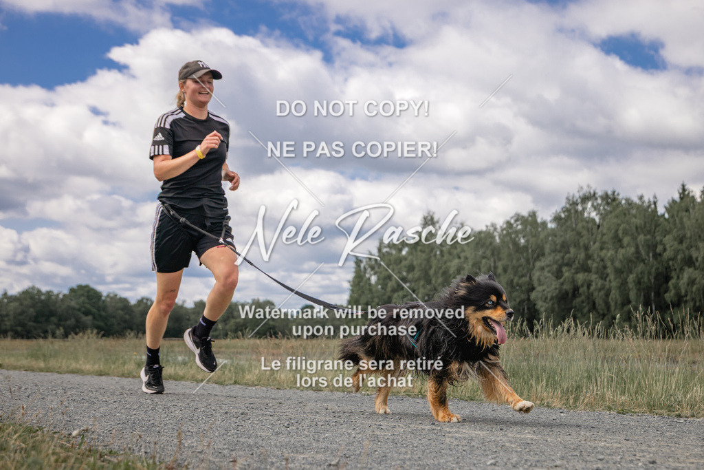 nelerasche_BuHu2026_SaCC1100-1200_132 | nelerasche