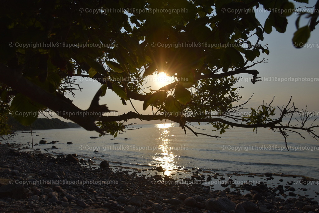 DSC_0056 | Sportfotografie , Motorsport, Motoross, Reitsport, Mointainbike, Enduro,
Landschaft , Outdoor, Eventfotografie, Landschaft, Bilder online bestellen - Realisiert mit Pictrs.com