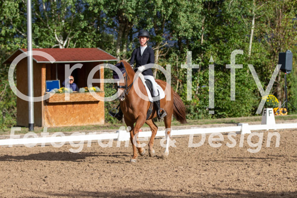 IMG_5931 | Creatify Fotografie