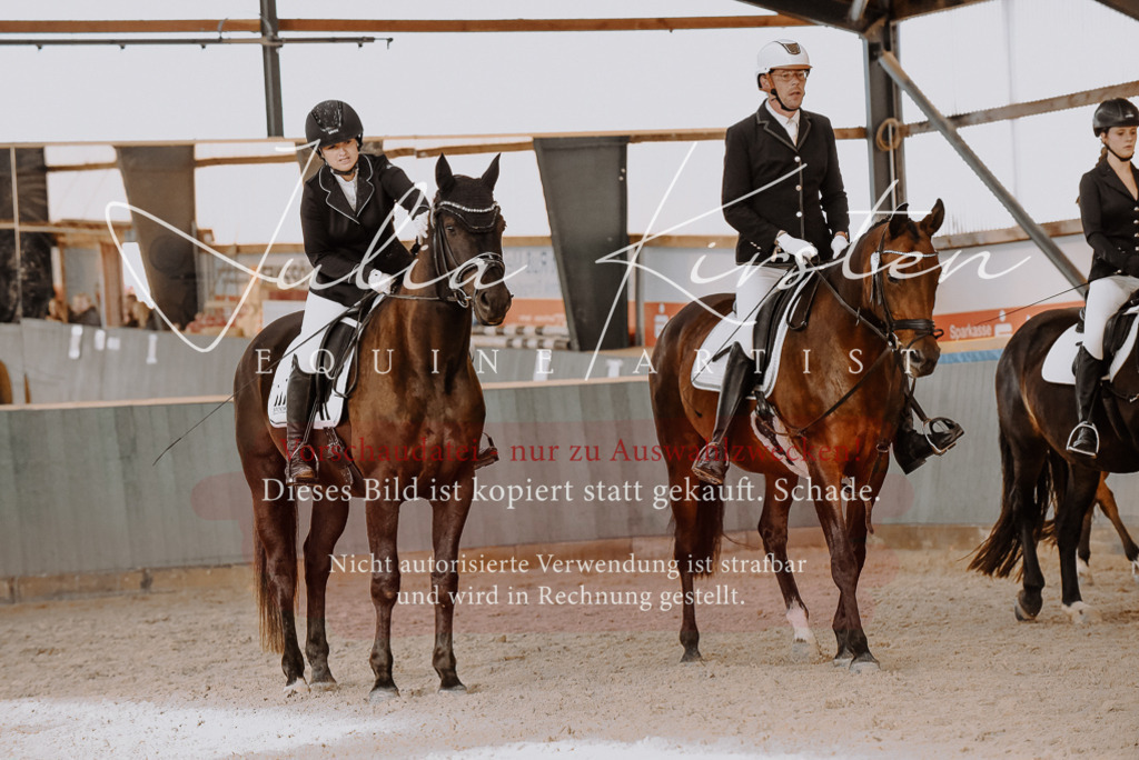 DSC_7584 | Pferde- und Turnierfotografie in Westsachsen. Pferdeportraits, Auftragszeichnungen und intuitive Kunst.