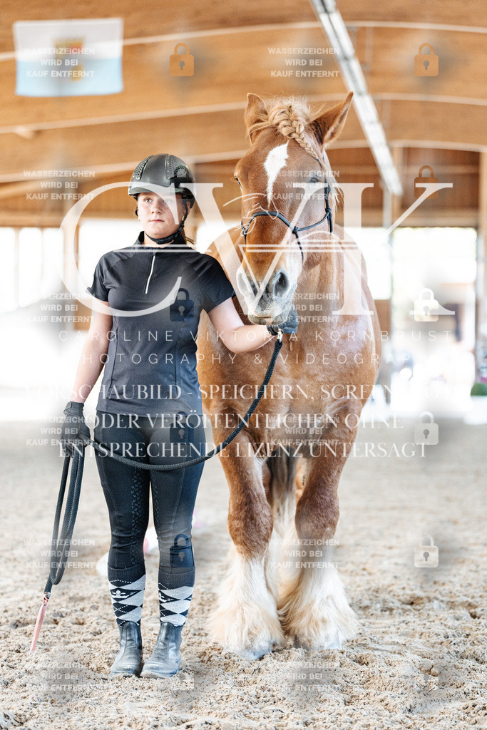 CK906302 | Turnierfotografie Pferdefotografie Trier Rheinland-Pfalz Pferdesport Reitsport Tierfotografie Sportfotografie Pferdevideo Pferdevideografie Equestrianvideography equestrianphotography  - Realisiert mit Pictrs.com
