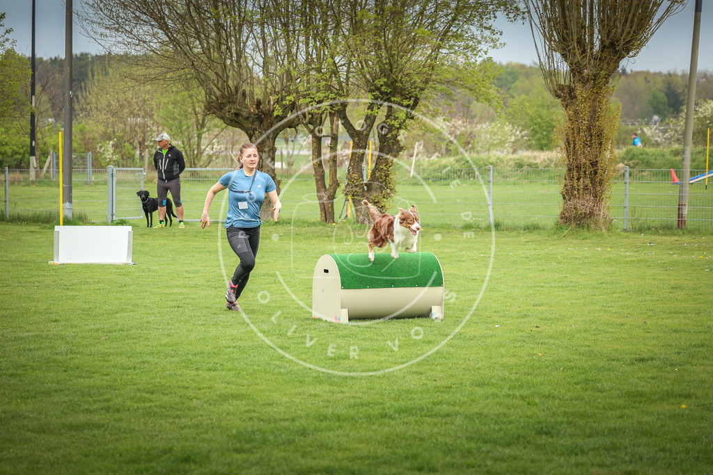 Pfotenfotografie_0L8A9407 | Hundefotografie, Tierfotograf, Pfotenfotografie, Fotoshooting Hund, Hunde Portrait, Hundesport, Hundeportraits, Heideshooting, Hunde, Sportfotograf, Hundefotograf, Turnierhundsport, THS,  - Realisiert mit Pictrs.com