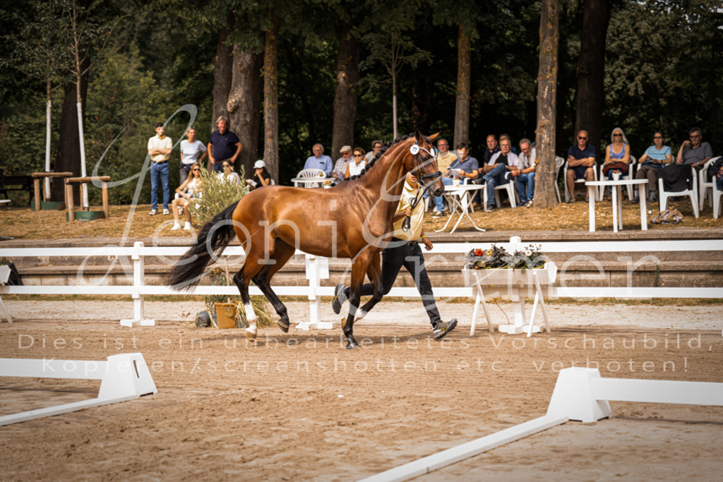 4.Fr00006 | Leoni Ertmer Photography - Realisiert mit Pictrs.com