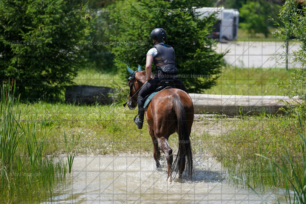 20240622-FAH07087 | Turnierfotografen Bayern, Reitsportbilder aus dem Geländekurs mit Felix Etzel auf dem Gut Waitzacker 2024