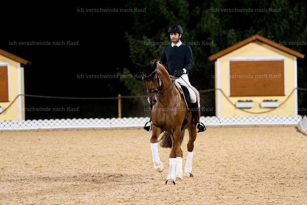 FHC2025 Isabell Werth-9918 | working equitationturnier fotograf videograf stoibphotography marixx film working equitation deutschland reitsport turnierfotografie eventfotografie equestrian events