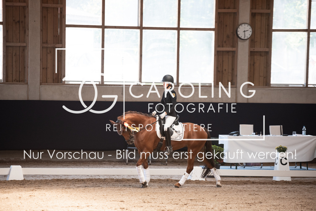 DSC_3479 | Carolin Gieschke