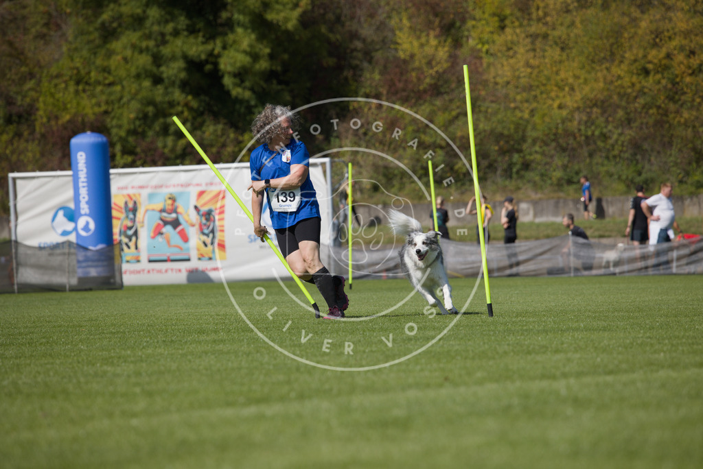 0L8A3010 | Hundefotografie, Tierfotograf, Pfotenfotografie, Fotoshooting Hund, Hunde Portrait, Hundesport, Hundeportraits, Heideshooting, Hunde, Sportfotograf, Hundefotograf, Turnierhundsport, THS,  - Realisiert mit Pictrs.com