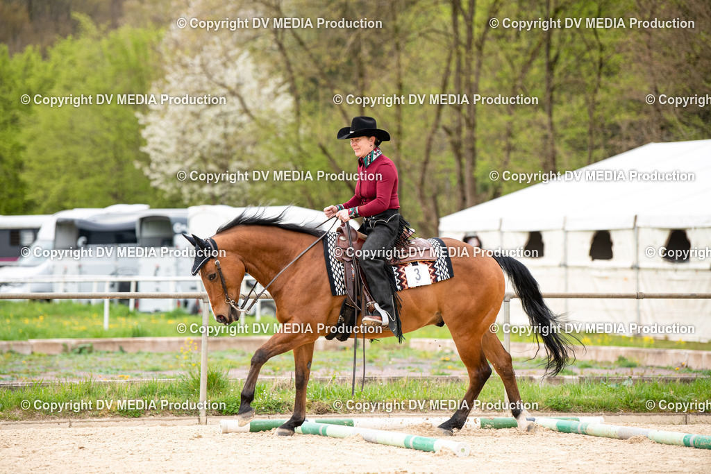 Heiligenwald Tag 1-273 | dv-media-shop - Realisiert mit Pictrs.com