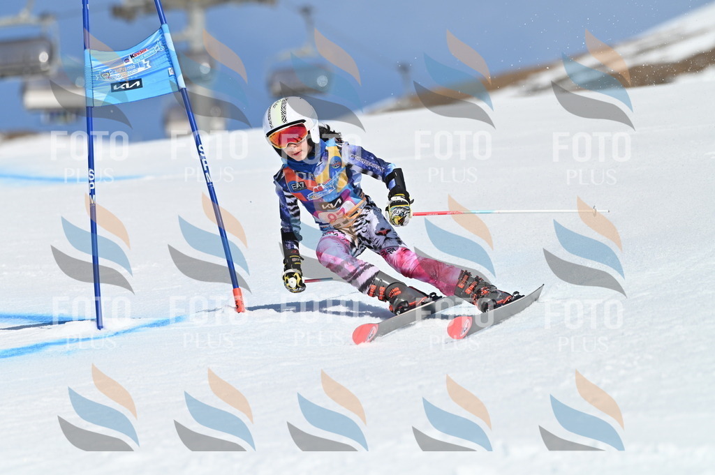 BGV_9197 | holidayphoto